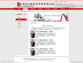 投資管理 專(zhuān)業(yè)與遠(yuǎn)見(jiàn)的視覺(jué)呈現(xiàn)